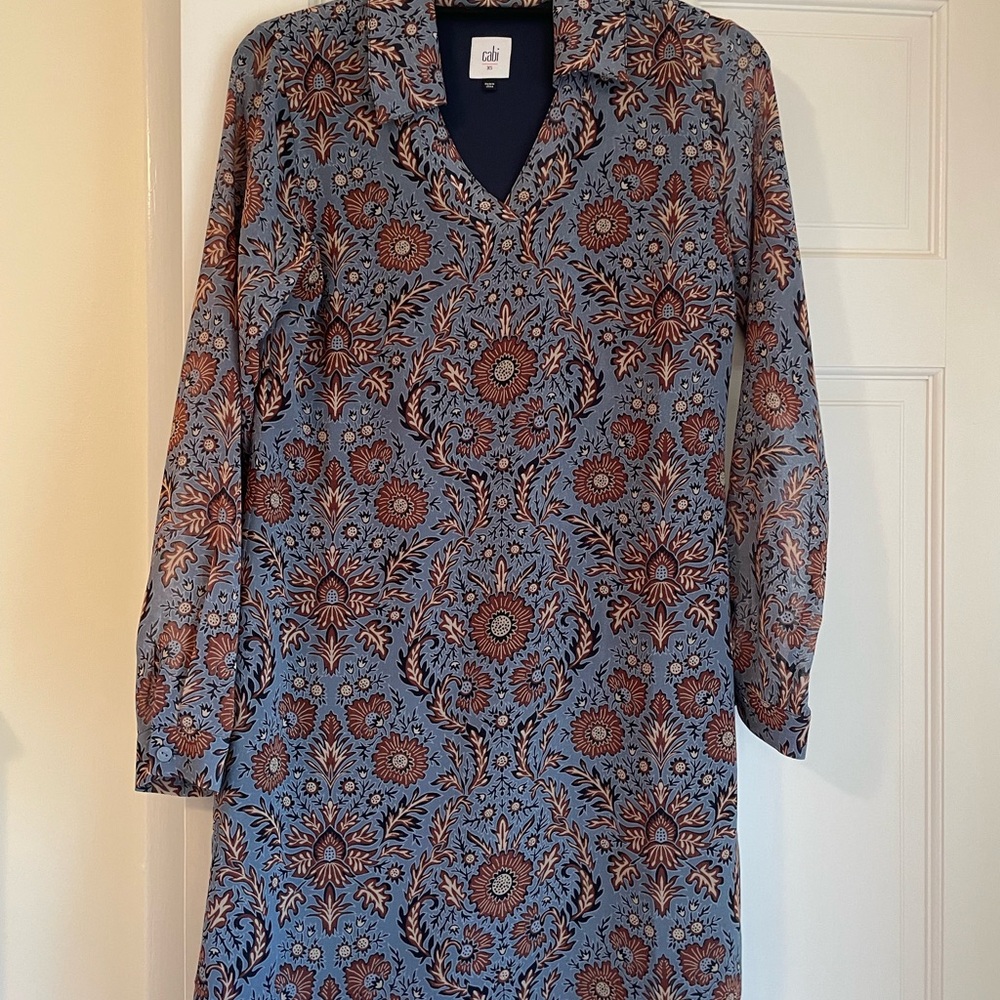 Cabi dress